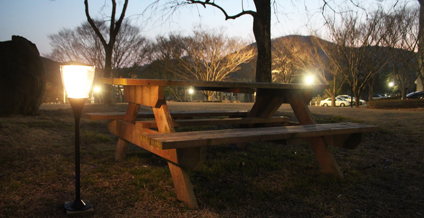 太阳能草坪灯 ESL-25PRO户外公园景观照明应用