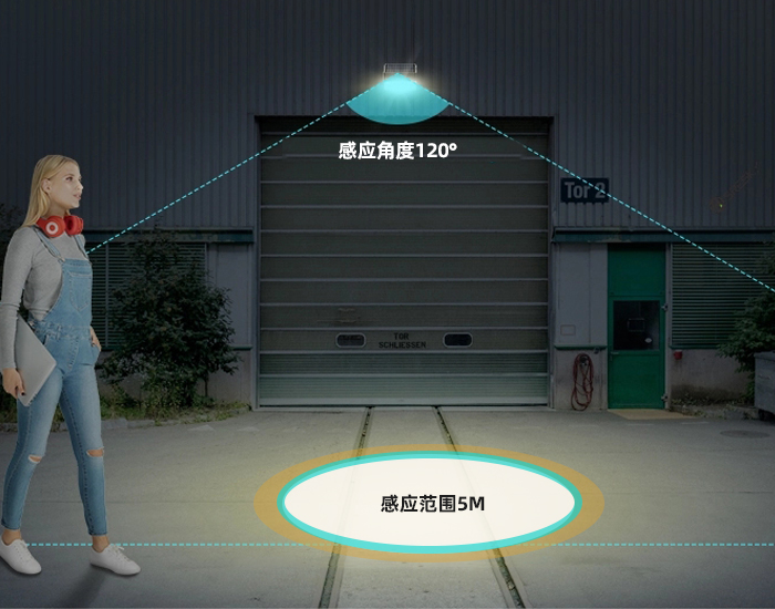 光控+PIR运动传感器