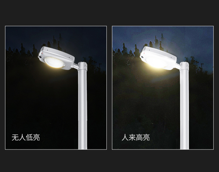 自动光控+PIR运动传感器