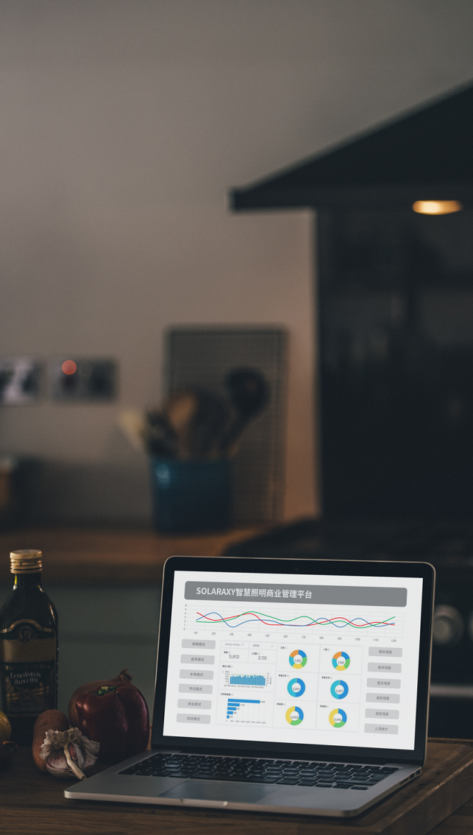 智能照明商业管理平台界面2