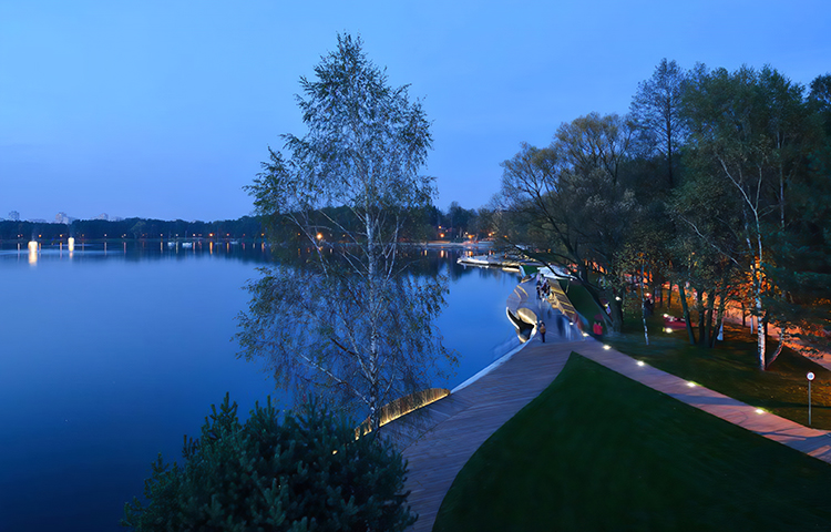 公园绿植的装饰照明