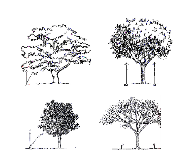 绿地照明灯具应用