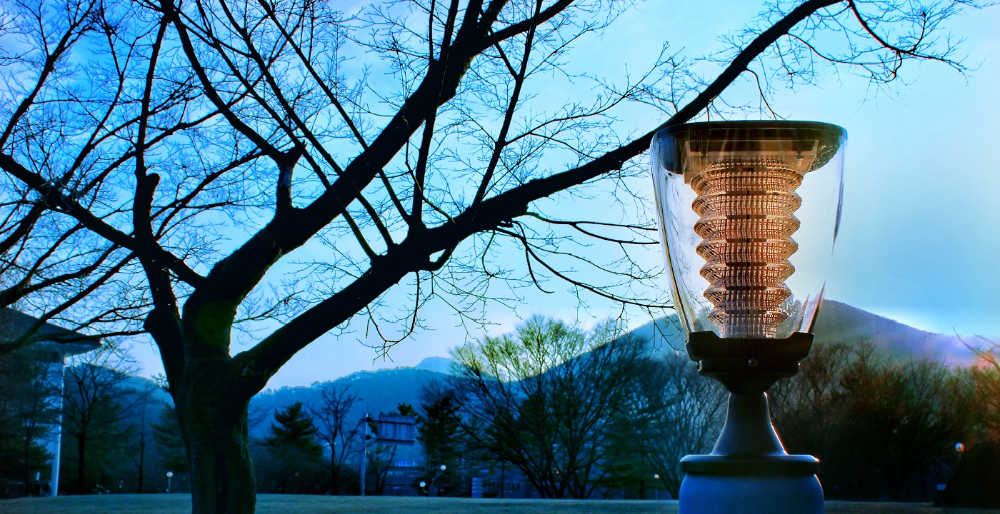 柱头灯安装在绿地