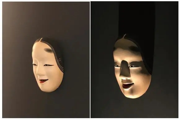 不同植物照明是合集方法不同