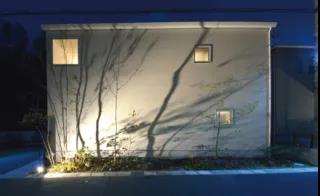 照明设计师往往会被烦乱的树影困扰