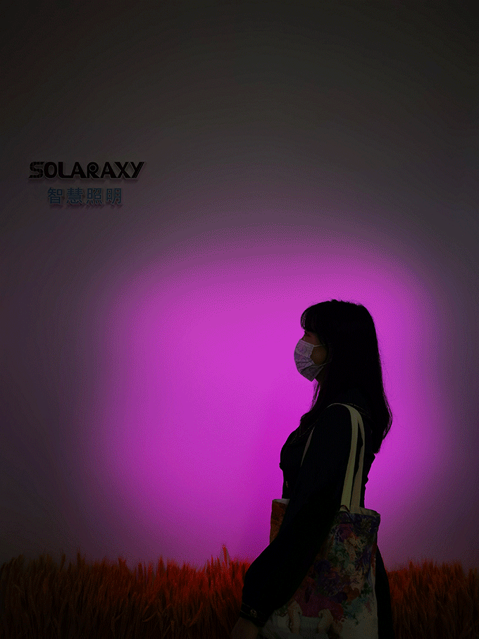 solaraxy智慧照明网红打卡点