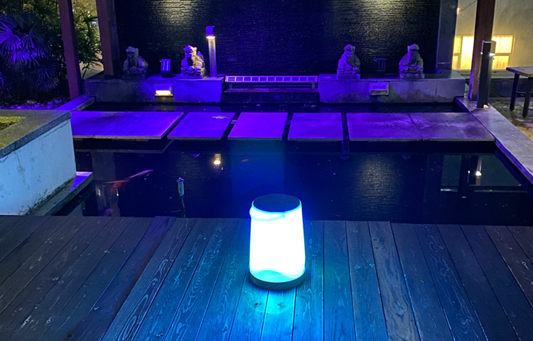 当下太阳能庭院灯哪些吸引消费者