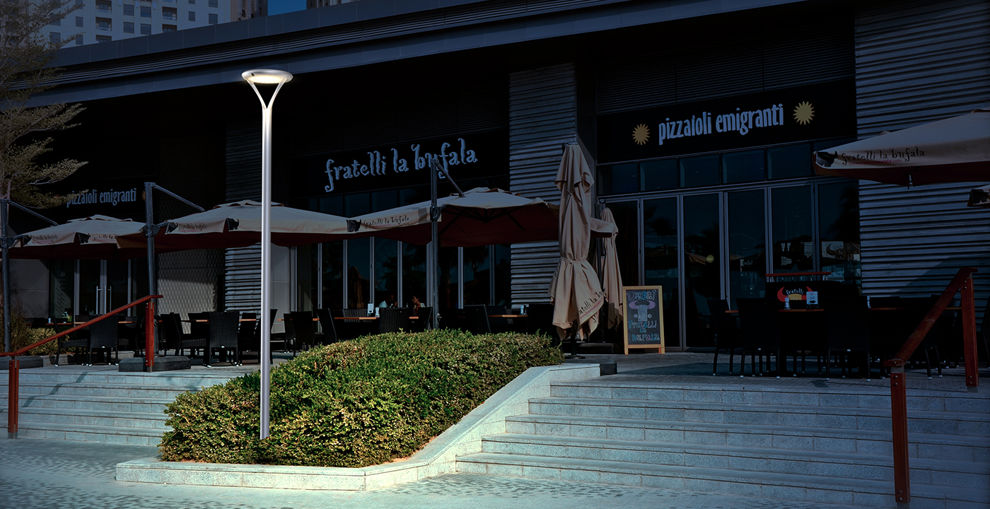 太阳能景观灯ESL-56场景案例3