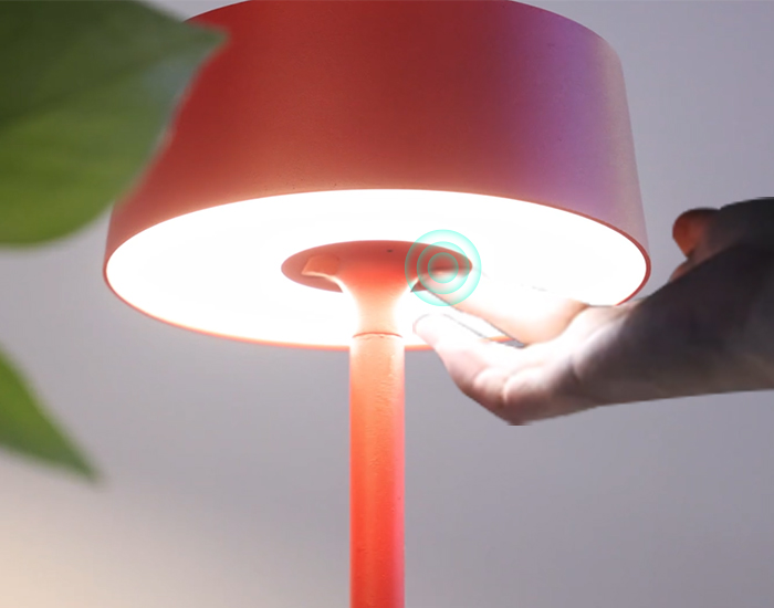 太阳能智能照明语音灯DTL-02触摸按键