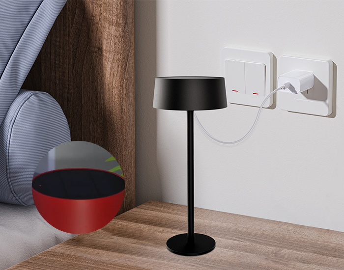 太阳能智能照明语音灯DTL-02充电方式