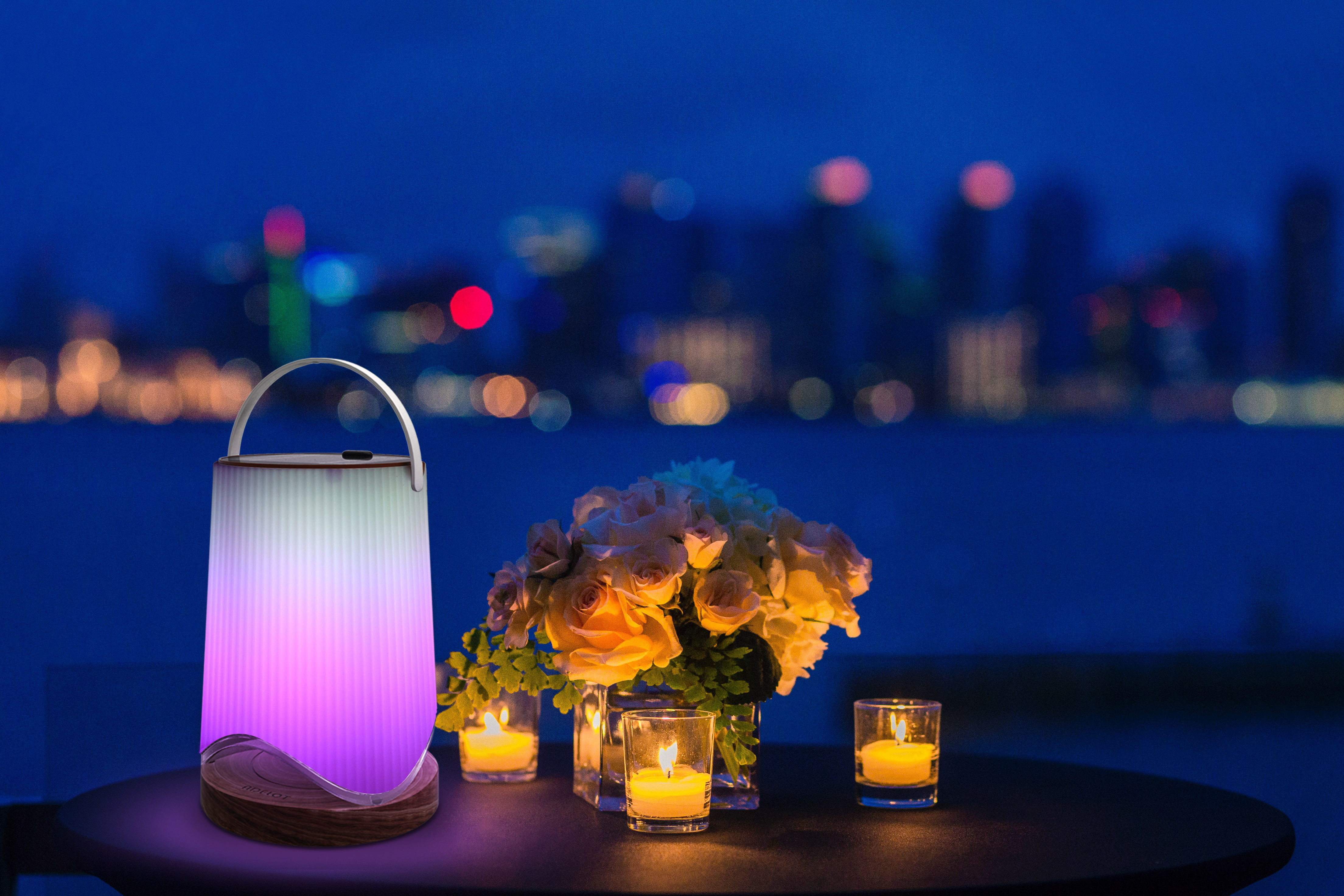 全新的感官体验